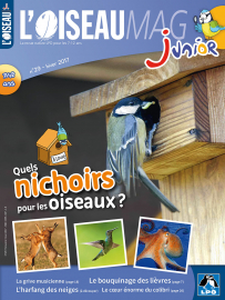 Couverture de l'OISEAU MAG JUNIOR n°29